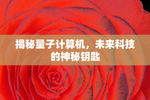 揭秘量子计算机，未来科技的神秘钥匙