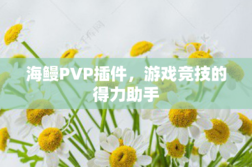 海鳗PVP插件，游戏竞技的得力助手
