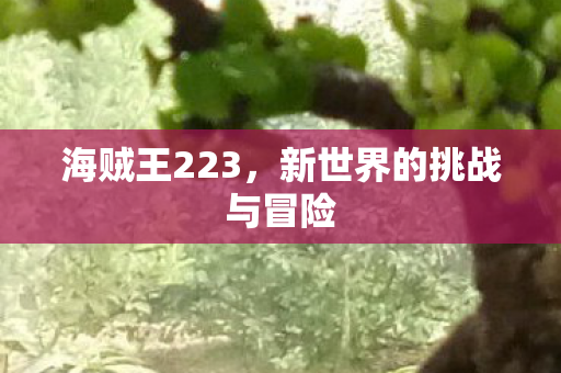 海贼王223，新世界的挑战与冒险