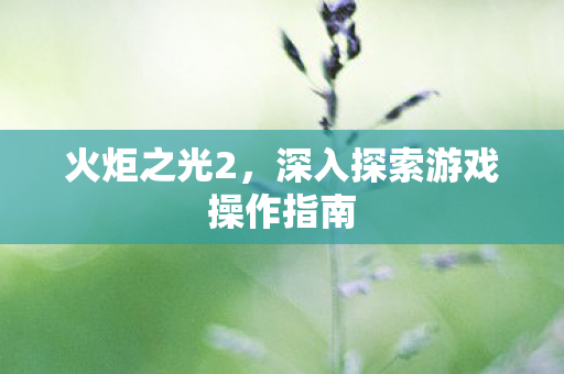 火炬之光2，深入探索游戏操作指南