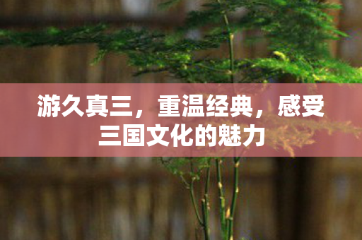 感受三国文化的魅力图片