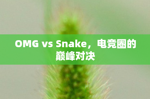 OMG vs Snake，电竞圈的巅峰对决