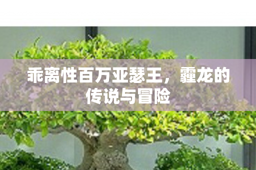 乖离性百万亚瑟王，霾龙的传说与冒险