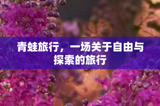 一场关于自由与探索的旅行图片