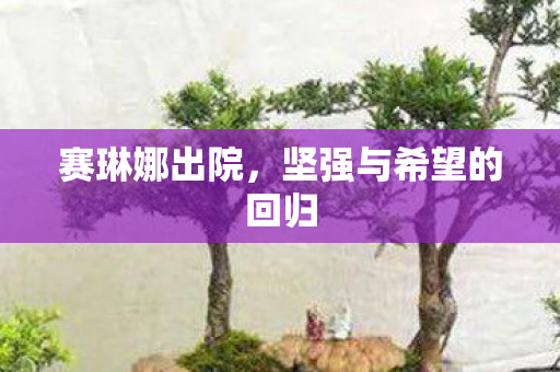 赛琳娜出院，坚强与希望的回归