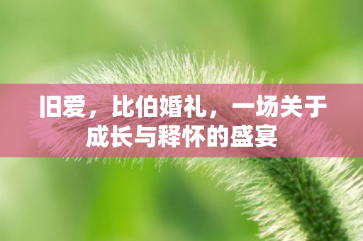 一场关于成长与释怀的盛宴图片