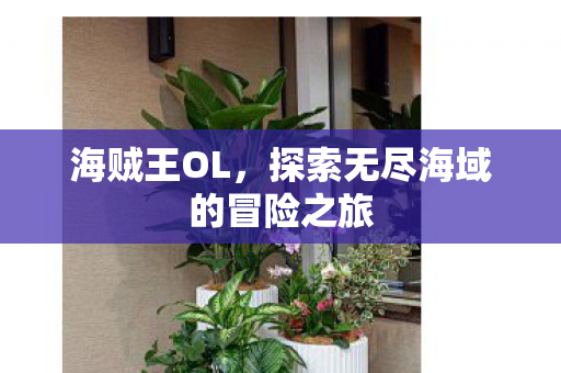 探索无尽海域的冒险之旅图片