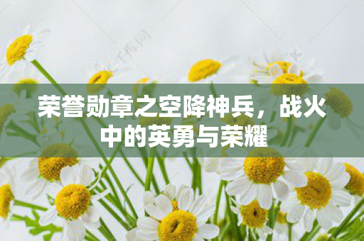 荣誉勋章之空降神兵图片