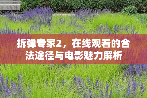 拆弹专家2，在线观看的合法途径与电影魅力解析