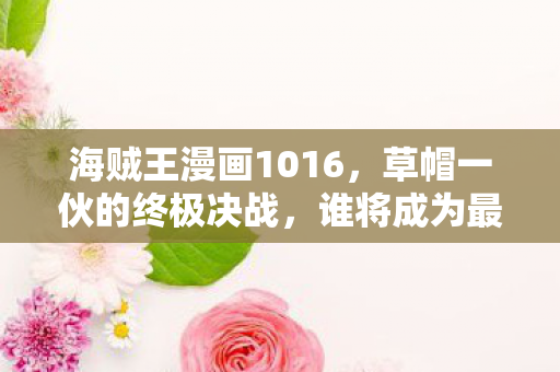 海贼王漫画1016图片
