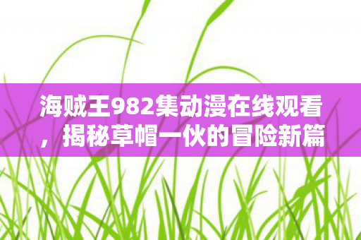 海贼王982集动漫在线观看，揭秘草帽一伙的冒险新篇章