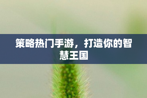 策略热门手游，打造你的智慧王国