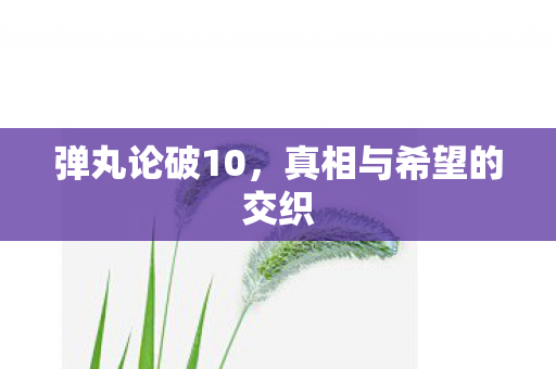 弹丸论破10，真相与希望的交织