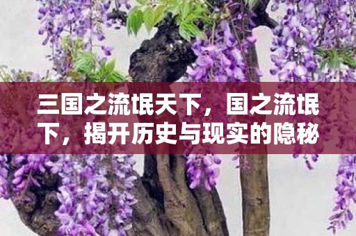 揭开历史与现实的隐秘面纱图片