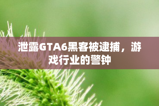 泄露GTA6黑客被逮捕图片