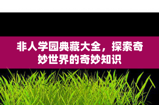 探索奇妙世界的奇妙知识图片