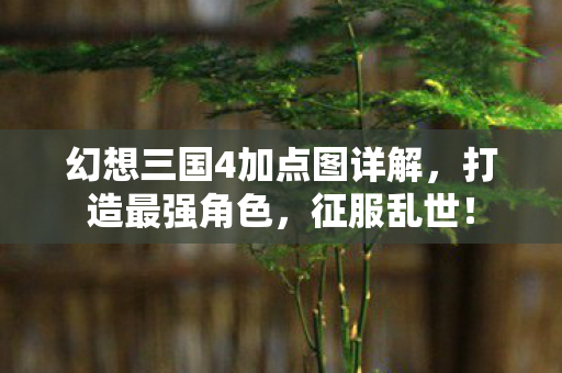 幻想三国4加点图详解，打造最强角色，征服乱世！