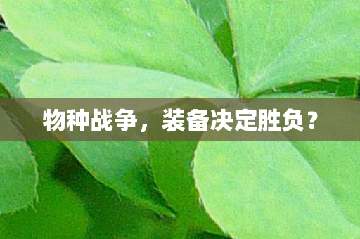 物种战争，装备决定胜负？