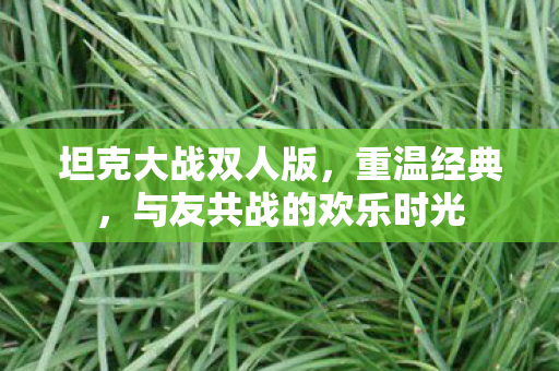 与友共战的欢乐时光图片