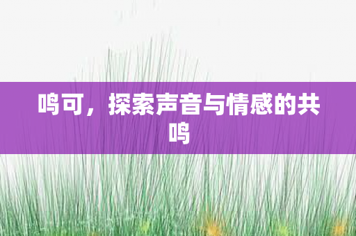 探索声音与情感的共鸣图片