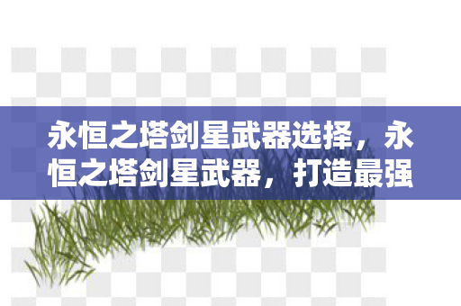 永恒之塔剑星武器选择图片