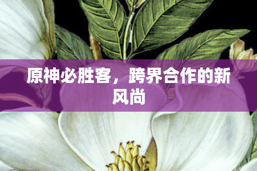 原神必胜客，跨界合作的新风尚