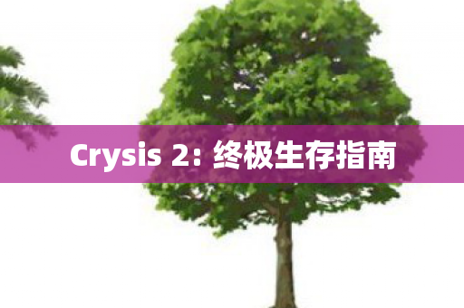 Crysis 2图片