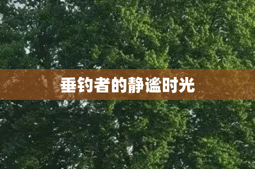 垂钓者的静谧时光