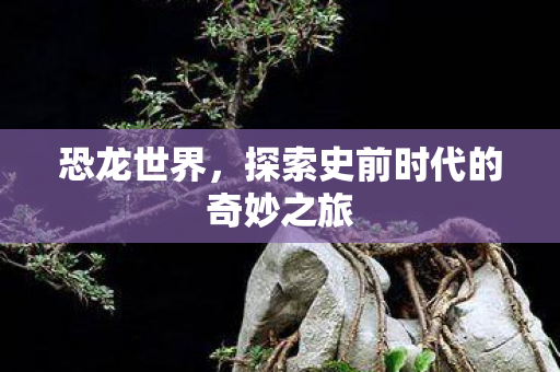 恐龙世界，探索史前时代的奇妙之旅