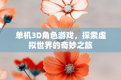 单机3D角色游戏，探索虚拟世界的奇妙之旅