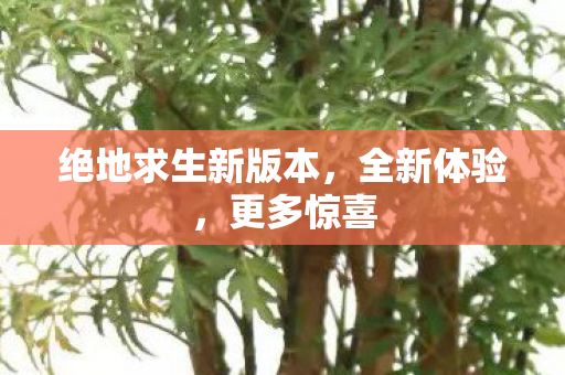 绝地求生新版本，全新体验，更多惊喜