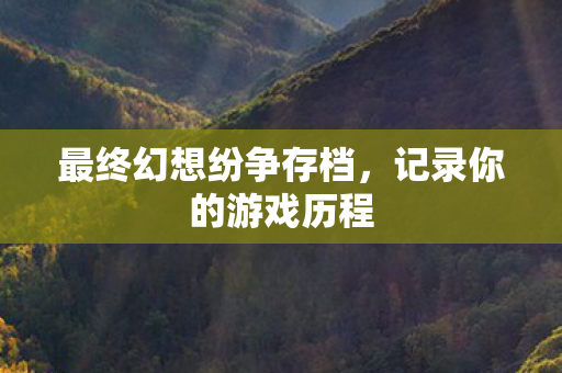 最终幻想纷争存档，记录你的游戏历程