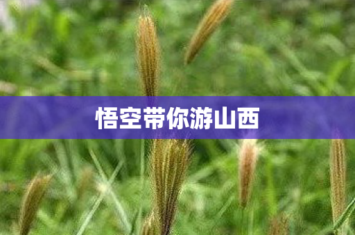 悟空带你游山西