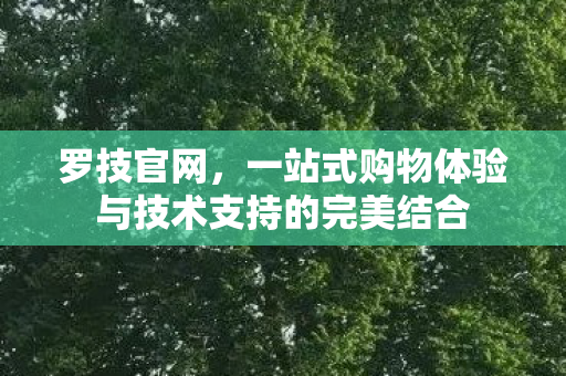 罗技官网，一站式购物体验与技术支持的完美结合