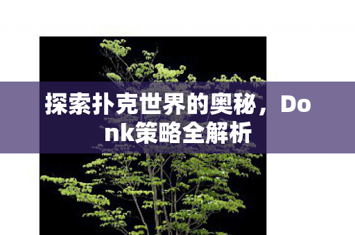 探索扑克世界的奥秘，Donk策略全解析