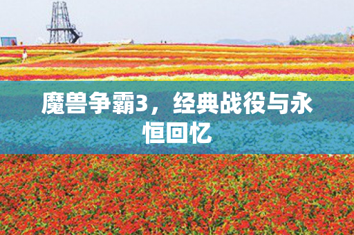 魔兽争霸3，经典战役与永恒回忆