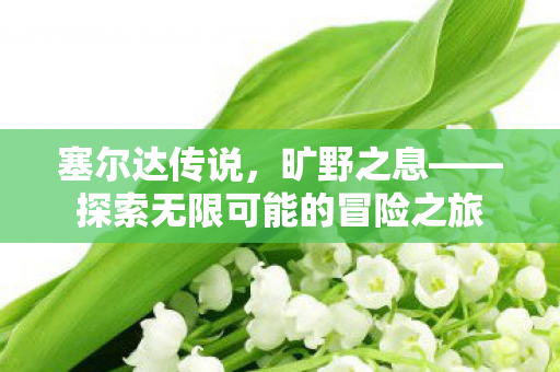 塞尔达传说,旷野之息——探索无限可能的冒险之旅 塞尔达传说,旷野之息——探索无限可能的冒险之旅