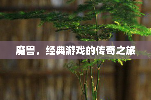 魔兽，经典游戏的传奇之旅