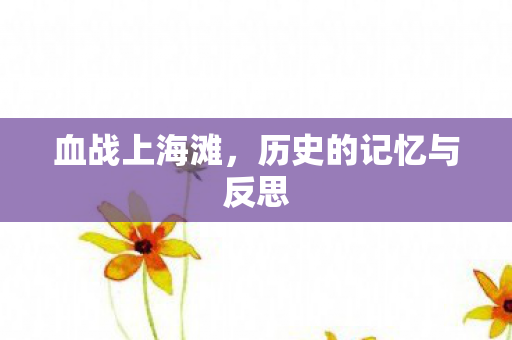 血战上海滩，历史的记忆与反思