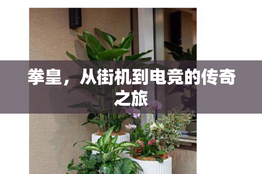 拳皇，从街机到电竞的传奇之旅