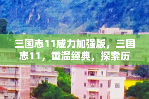 三国志11威力加强版,三国志11,重温经典,探索历史的策略之旅 三国志11威力加强版,三国志11,重温经典,探索历史的策略之旅