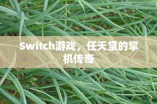 Switch游戏，任天堂的掌机传奇