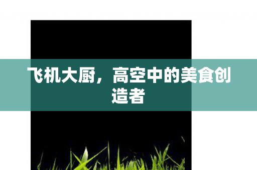 飞机大厨,高空中的美食创造者 飞机大厨,高空中的美食创造者