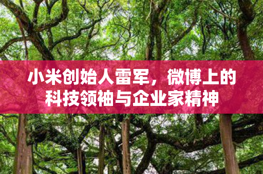 小米创始人雷军，微博上的科技领袖与企业家精神