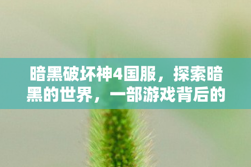 暗黑破坏神4国服，探索暗黑的世界，一部游戏背后的深度解析
