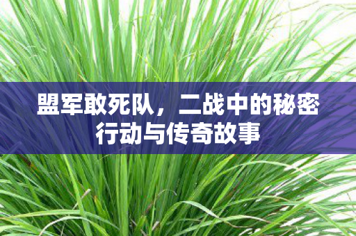 盟军敢死队，二战中的秘密行动与传奇故事