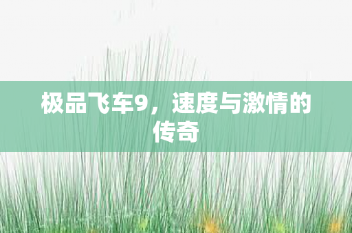 极品飞车9，速度与激情的传奇