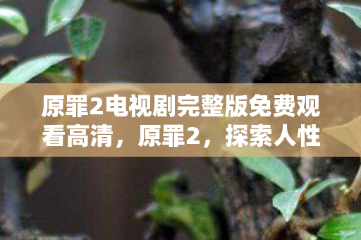 原罪2电视剧完整版免费观看高清，原罪2，探索人性深处的黑暗与救赎