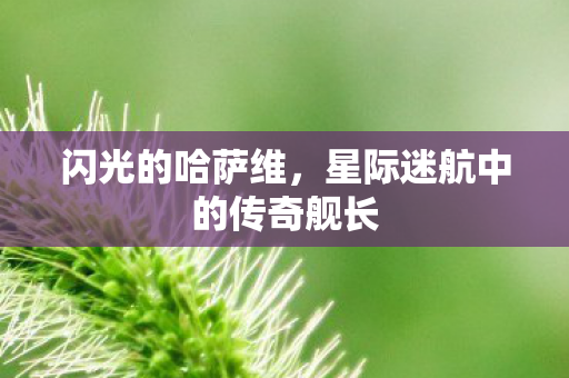 闪光的哈萨维，星际迷航中的传奇舰长