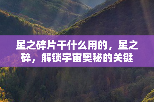 星之碎片干什么用的，星之碎，解锁宇宙奥秘的关键